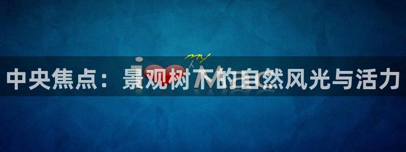 新宝Gg测速地址