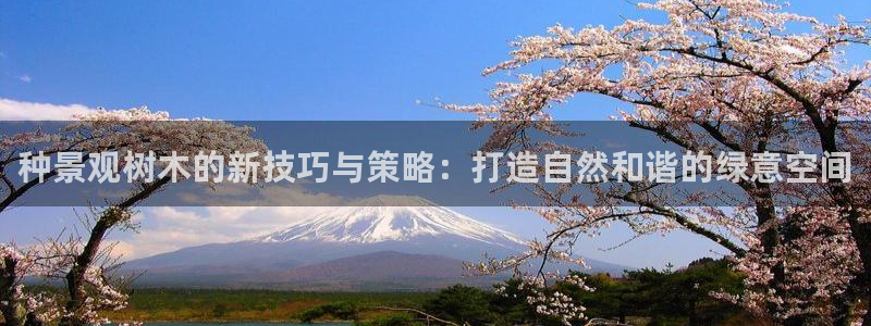 新宝gg会员：种景观树木的新技巧与策略：打造自然和谐的绿意空间