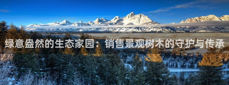 新宝GG最高返点多少