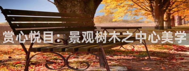 新宝gg平台q891465