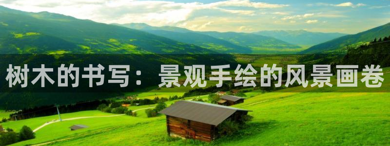 新宝集团gg：树木的书写：景观手绘的风景画卷