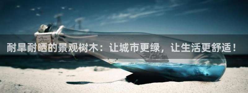 新宝GG主管41333：耐旱耐晒的景观树木：让城市更绿，让生活更舒适！