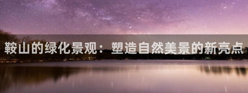 新宝gg网址