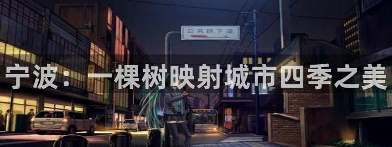 新宝gg龙腾：宁波：一棵树映射城市四季之美