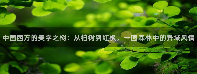 新宝gg手机登录：中国西方的美学之树：从柏树到红枫，一园森林中的异域风情