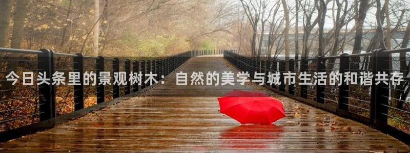 新宝gg招商89188：今日头条里的景观树木：自然的美学与城市生活的和谐共存