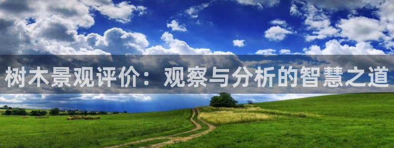 新宝gg主页：树木景观评价：观察与分析的智慧之道