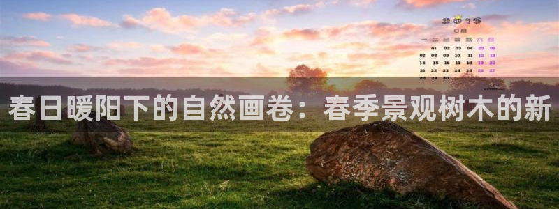 新宝gg平台q891465：春日暖阳下的自然画卷：春季景观树木的新