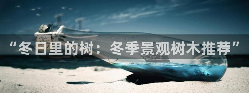 新宝gg玩法