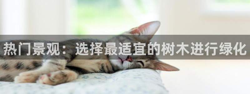 新 宝gg：热门景观：选择最适宜的树木进行绿化