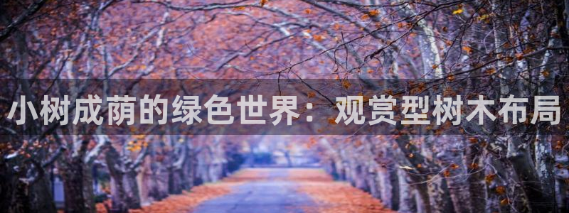 怎么代理新宝gg