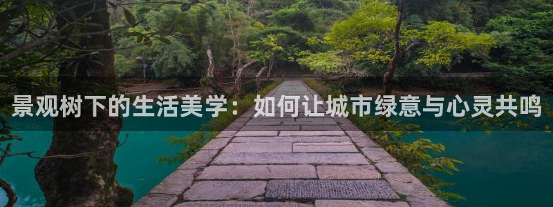 新宝gg注册新账号：景观树下的生活美学：如何让城市绿意与心灵共鸣