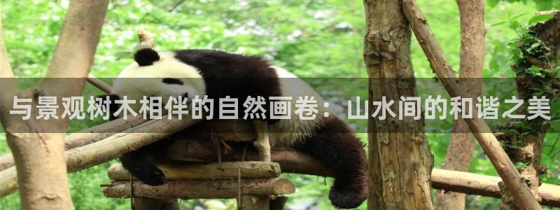 新宝gg用哪个浏览器