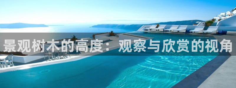 新宝gg 登陆：景观树木的高度：观察与欣赏的视角