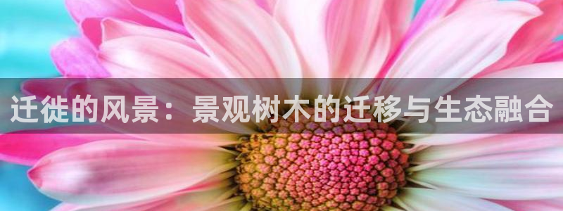 新宝注册gg平台：迁徙的风景：景观树木的迁移与生态融合