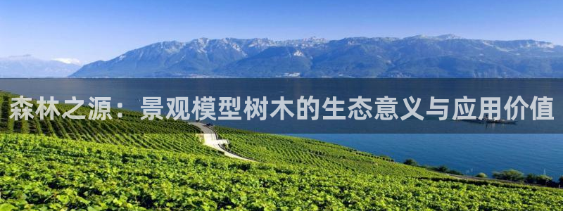新宝gg开好