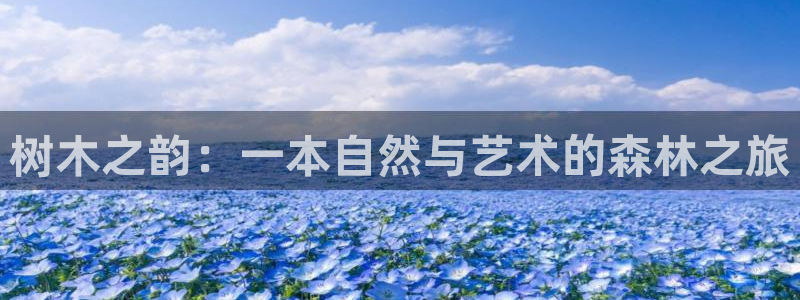 谁有新宝GG：树木之韵：一本自然与艺术的森林之旅