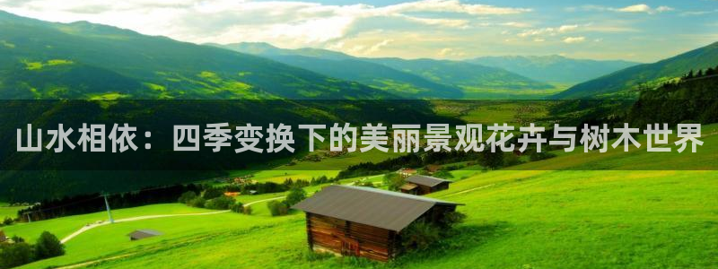 新宝Gg测速地址：山水相依：四季变换下的美丽景观花卉与树木世界