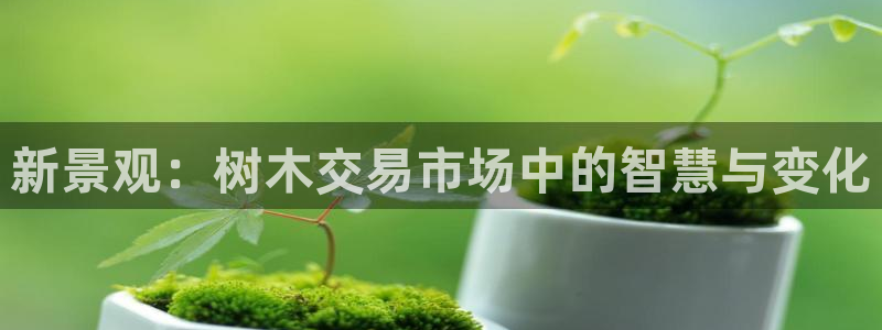 新宝gg开奖结果可信吗