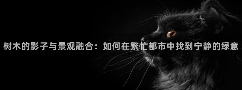 新宝gg开奖结果可信吗