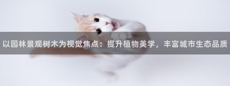 77新宝gg