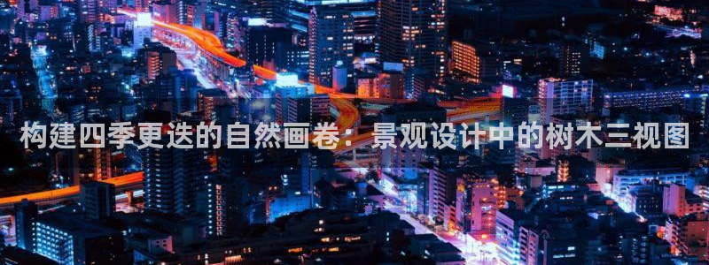 新宝gg创造奇迹