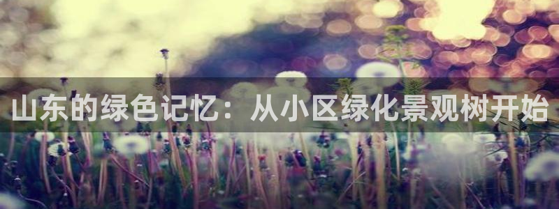 新浪新闻新宝gg