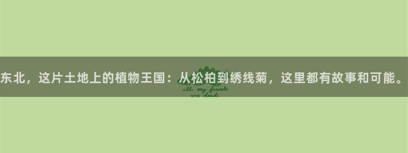 新宝gg挣钱