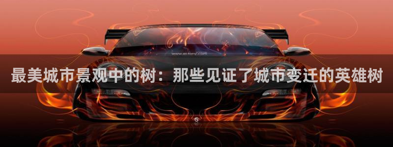 娱乐世界新宝gg