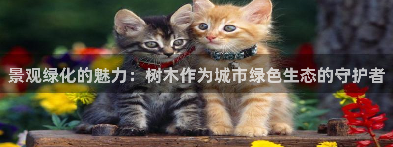 新宝gg棋牌：景观绿化的魅力：树木作为城市绿色生态的守护者