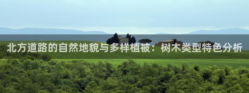 新宝GG国际