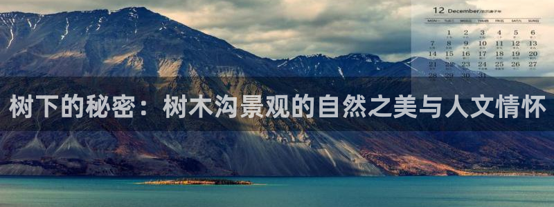 新宝GG于六七五一38