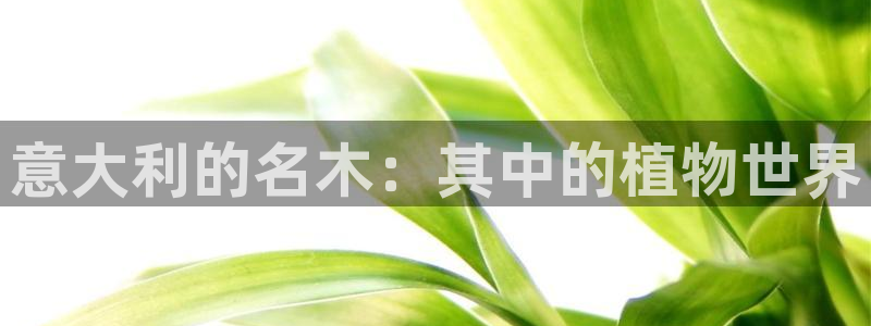 新宝gg开户流程：意大利的名木：其中的植物世界