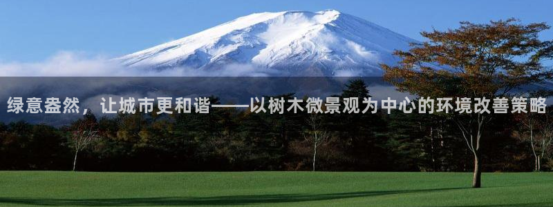 新宝gg客户端下载