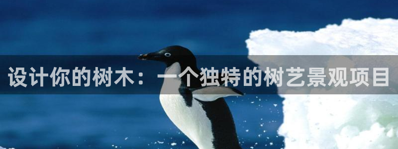 新宝gg龙虎规则