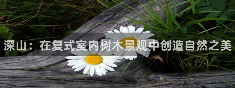 96新宝gg：深山：在复式室内树木景观中创造自然之美