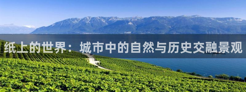 新宝gg返点模式