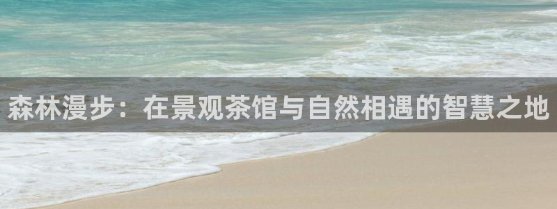 新宝彩票gg：森林漫步：在景观茶馆与自然相遇的智慧之地