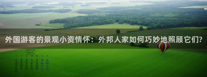 新宝GG扩展78778：外国游客的景观小资情怀：外邦人家如何巧妙地照顾它们?