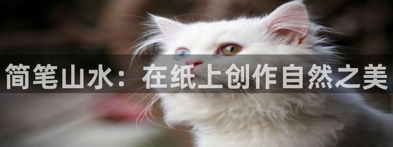 新宝gg注册登录：简笔山水：在纸上创作自然之美
