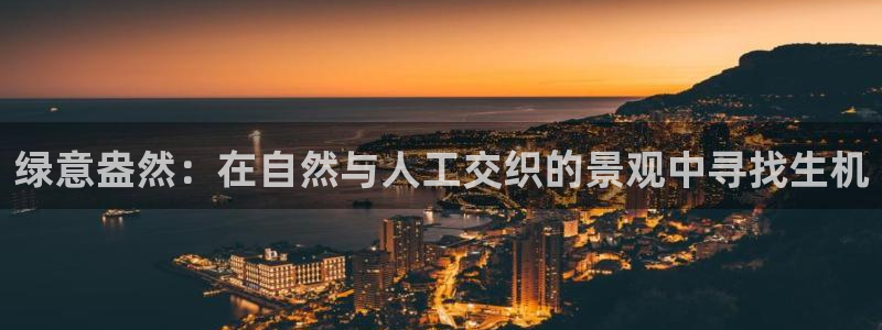 新宝gg咨询55312