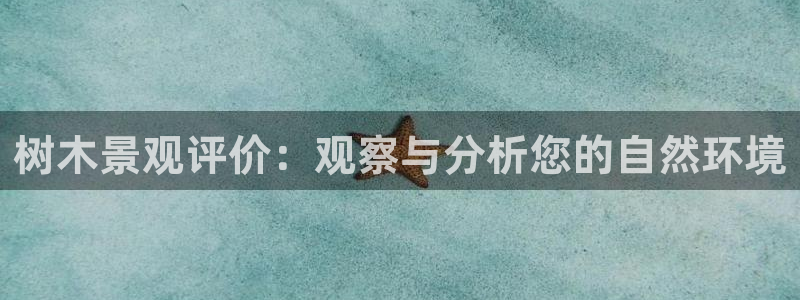 新宝gg介绍
