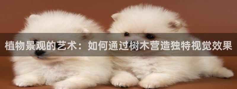 新宝gg主管都是谁