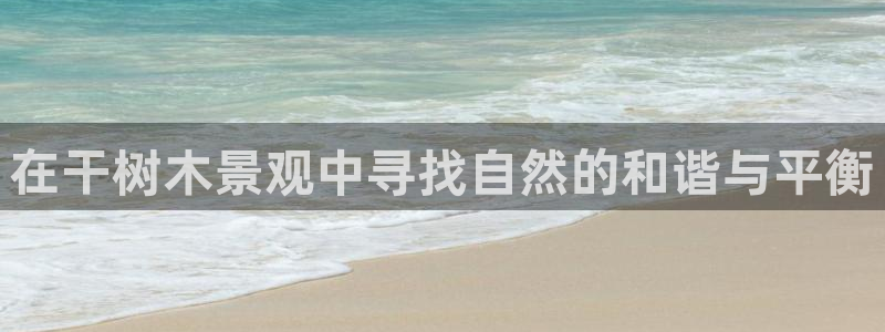 新宝gg博彩：在干树木景观中寻找自然的和谐与平衡