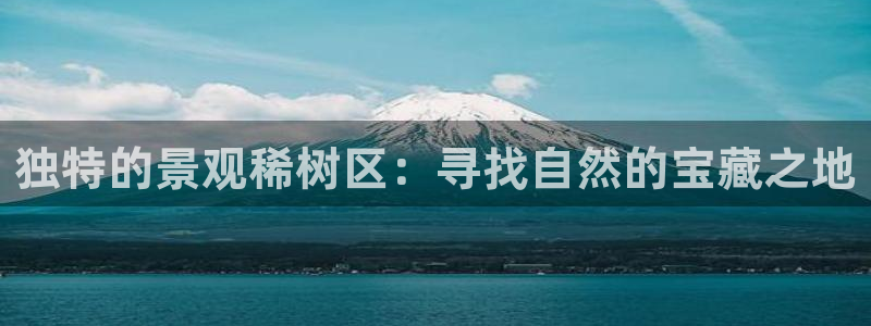 新宝gg代理条件