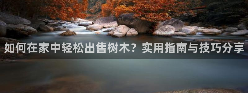 新宝gg怎样代理