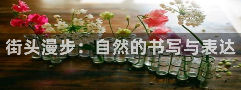 新宝gg平台连接