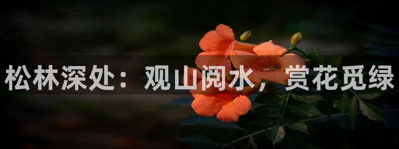 新宝gg软件下载