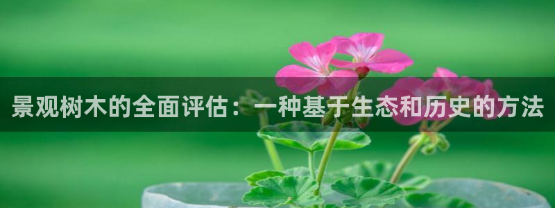 新宝gg返点模式