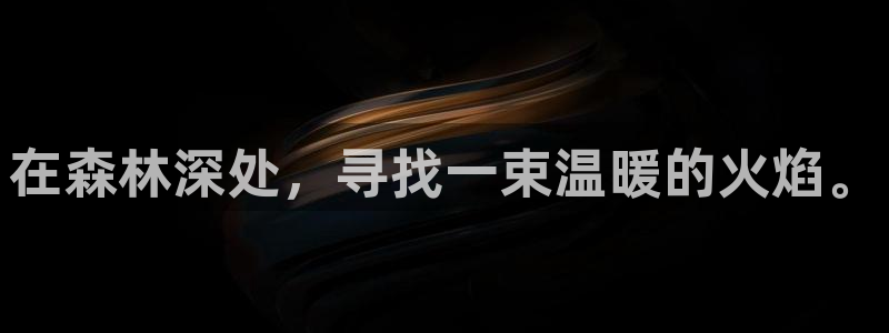 新宝gg平台q891465